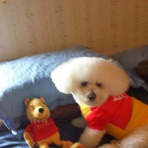 Meet your Posher, Shirl